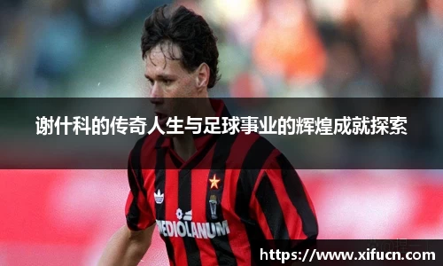 yy易游体育官网